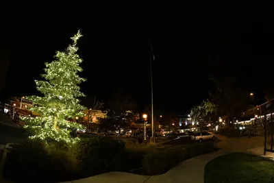 DSC_0021 (Large).JPG